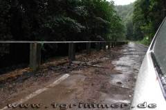 flut2002_01