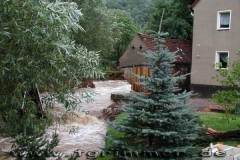 flut2002_03