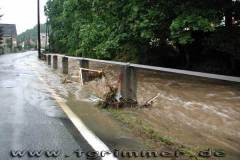 flut2002_05