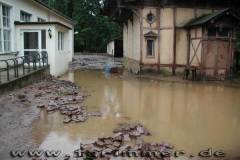 flut2002_06