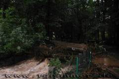 flut2002_07