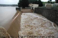 flut2002_10