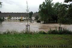 flut2002_12